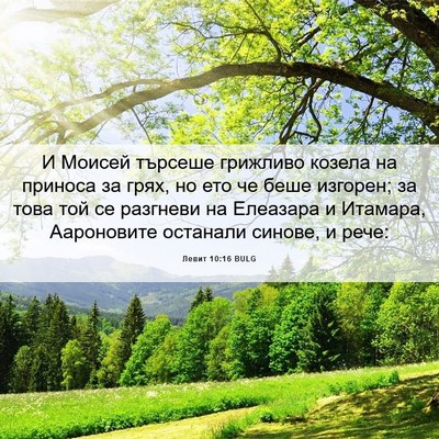 Picture 06 - Левит 10:16 BULG - И Моисей търсеше грижливо - Bible Verse Picture