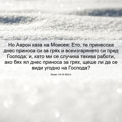 Picture 06 - Левит 10:19 BULG - Но Аарон каза на Моисея: - Bible Verse Picture