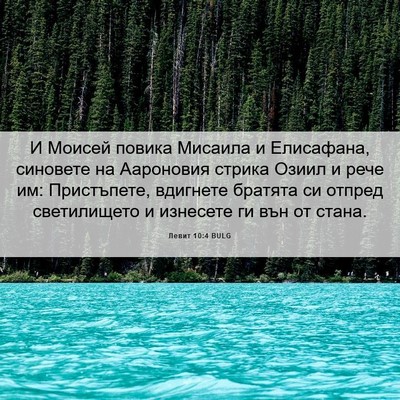 Picture 06 - Левит 10:4 BULG - И Моисей повика Мисаила и - Bible Verse Picture