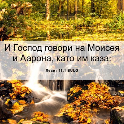 Picture 06 - Левит 11:1 BULG - И Господ говори на Моисея и - Bible Verse Picture