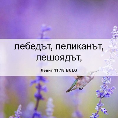 Picture 06 - Левит 11:18 BULG - лебедът, пеликанът, - Bible Verse Picture