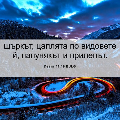 Picture 06 - Левит 11:19 BULG - щъркът, цаплята по - Bible Verse Picture