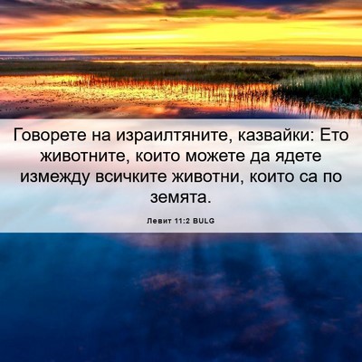 Picture 06 - Левит 11:2 BULG - Говорете на израилтяните, - Bible Verse Picture