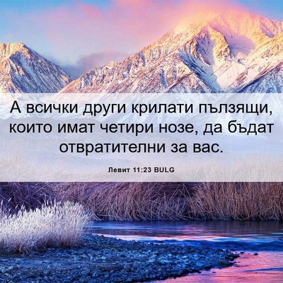Picture 06 - Левит 11:23 BULG - А всички други крилати - Bible Verse Picture