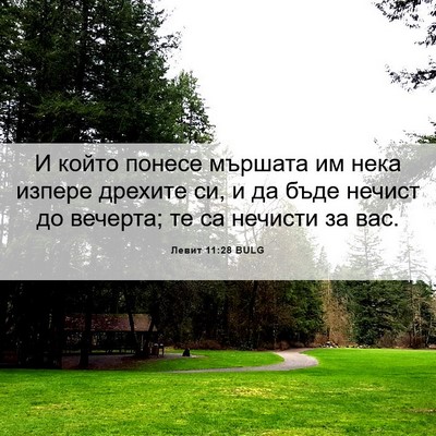 Picture 06 - Левит 11:28 BULG - И който понесе мършата им - Bible Verse Picture