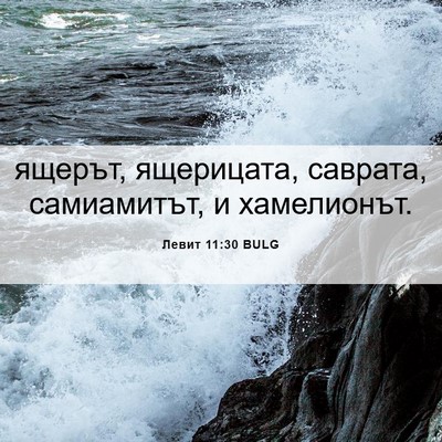Picture 06 - Левит 11:30 BULG - ящерът, ящерицата, саврата, - Bible Verse Picture