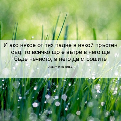 Picture 06 - Левит 11:33 BULG - И ако някое от тях падне в - Bible Verse Picture