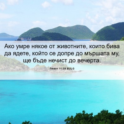 Picture 06 - Левит 11:39 BULG - Ако умре някое от - Bible Verse Picture