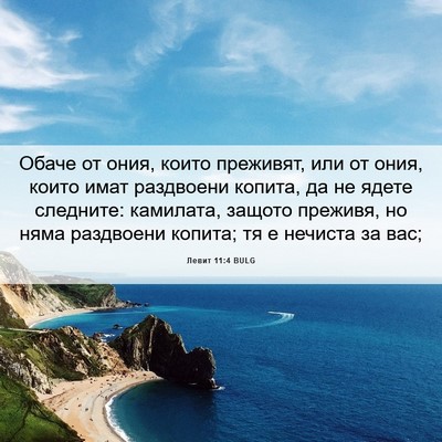 Picture 06 - Левит 11:4 BULG - Обаче от ония, които - Bible Verse Picture