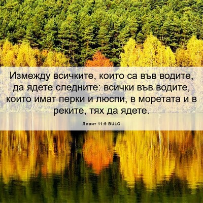 Picture 06 - Левит 11:9 BULG - Измежду всичките, които са - Bible Verse Picture