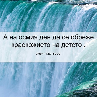 Picture 06 - Левит 12:3 BULG - А на осмия ден да се обреже - Bible Verse Picture