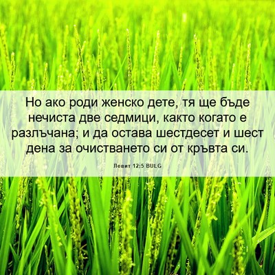 Picture 06 - Левит 12:5 BULG - Но ако роди женско дете, тя - Bible Verse Picture
