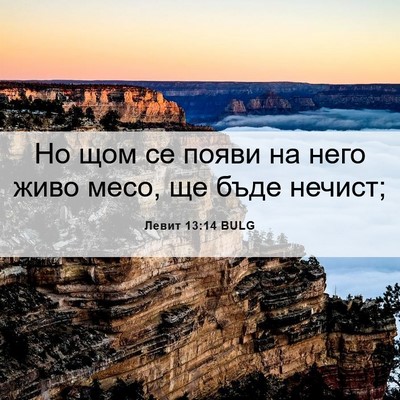 Picture 06 - Левит 13:14 BULG - Но щом се появи на него - Bible Verse Picture