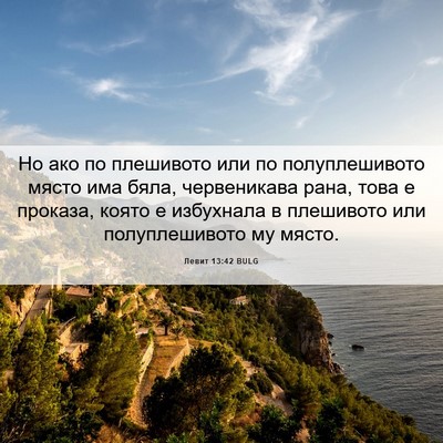 Picture 06 - Левит 13:42 BULG - Но ако по плешивото или по - Bible Verse Picture