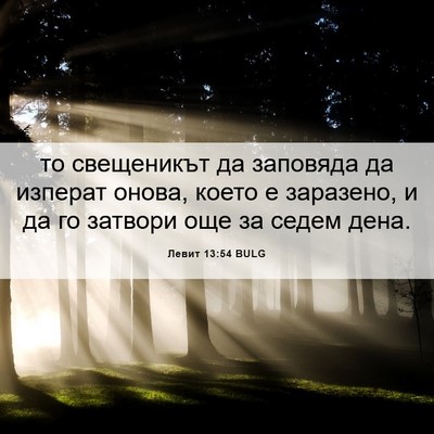 Picture 06 - Левит 13:54 BULG - то свещеникът да заповяда - Bible Verse Picture