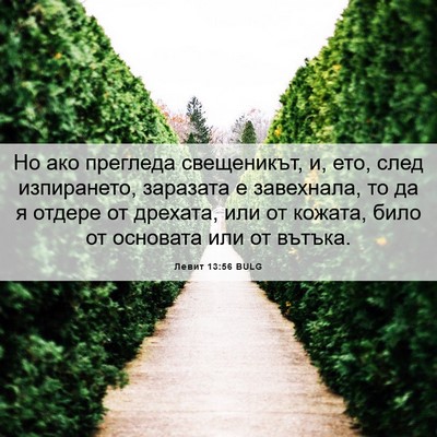 Picture 06 - Левит 13:56 BULG - Но ако прегледа - Bible Verse Picture