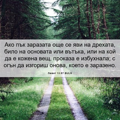 Picture 06 - Левит 13:57 BULG - Ако пък заразата още се яви - Bible Verse Picture