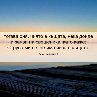 Picture 06 - Левит 14:35 BULG - тогава оня, чиято е къщата, - Bible Verse Picture