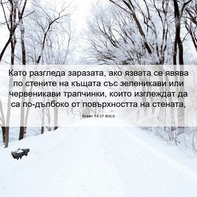 Picture 06 - Левит 14:37 BULG - Като разгледа заразата, - Bible Verse Picture