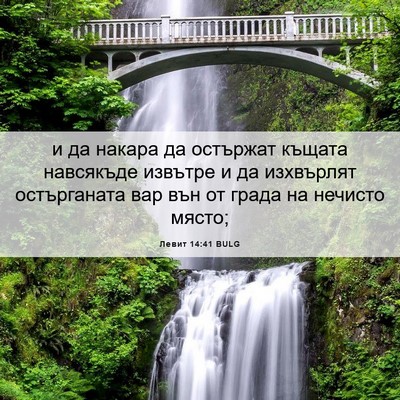 Picture 06 - Левит 14:41 BULG - и да накара да остържат - Bible Verse Picture