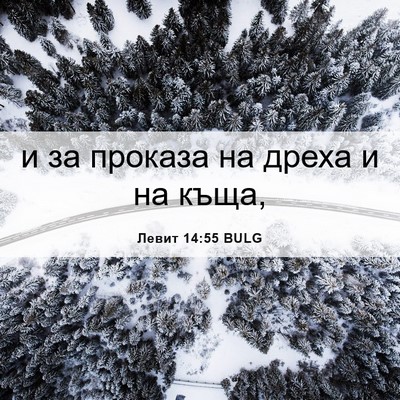Picture 06 - Левит 14:55 BULG - и за проказа на дреха и на - Bible Verse Picture
