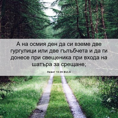 Picture 06 - Левит 15:29 BULG - А на осмия ден да си вземе - Bible Verse Picture