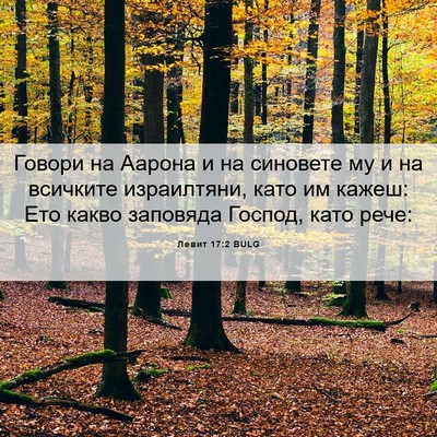 Picture 06 - Левит 17:2 BULG - Говори на Аарона и на - Bible Verse Picture