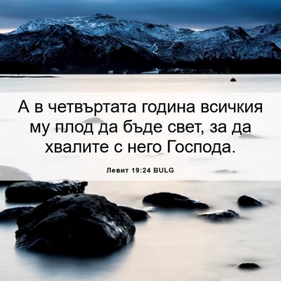 Picture 06 - Левит 19:24 BULG - А в четвъртата година - Bible Verse Picture