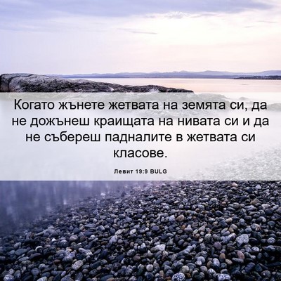 Picture 06 - Левит 19:9 BULG - Когато жънете жетвата на - Bible Verse Picture