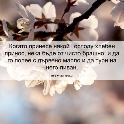 Picture 06 - Левит 2:1 BULG - Когато принесе някой - Bible Verse Picture