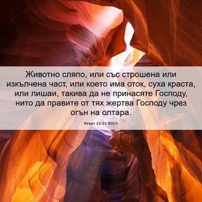 Picture 06 - Левит 22:22 BULG - Животно сляпо, или със - Bible Verse Picture