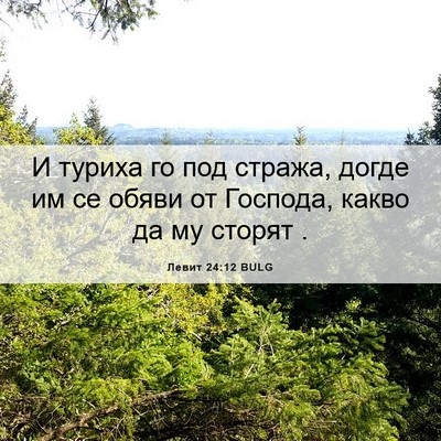 Picture 06 - Левит 24:12 BULG - И туриха го под стража, - Bible Verse Picture