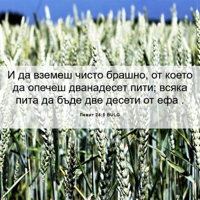 Picture 06 - Левит 24:5 BULG - И да вземеш чисто брашно, - Bible Verse Picture