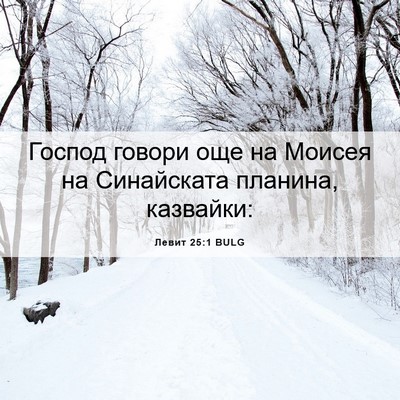 Picture 06 - Левит 25:1 BULG - Господ говори още на - Bible Verse Picture