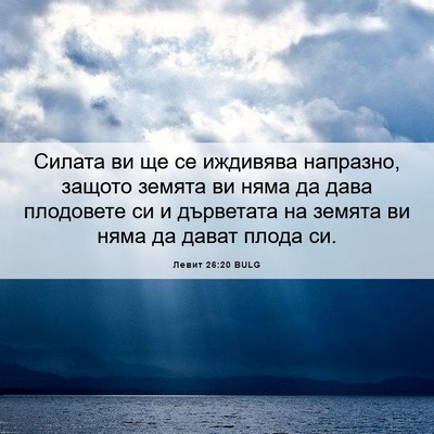 Picture 06 - Левит 26:20 BULG - Силата ви ще се иждивява - Bible Verse Picture