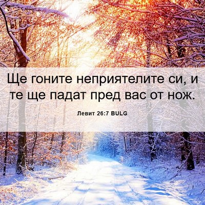 Picture 06 - Левит 26:7 BULG - Ще гоните неприятелите си, - Bible Verse Picture