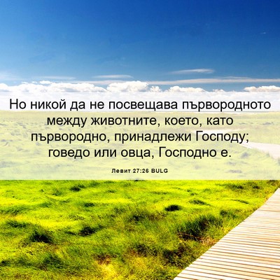 Picture 06 - Левит 27:26 BULG - Но никой да не посвещава - Bible Verse Picture