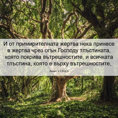 Picture 06 - Левит 3:3 BULG - И от примирителната жертва - Bible Verse Picture