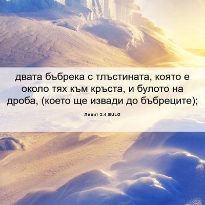 Picture 06 - Левит 3:4 BULG - двата бъбрека с - Bible Verse Picture