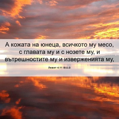 Picture 06 - Левит 4:11 BULG - А кожата на юнеца, всичкото - Bible Verse Picture