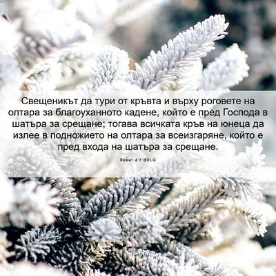 Picture 06 - Левит 4:7 BULG - Свещеникът да тури от - Bible Verse Picture
