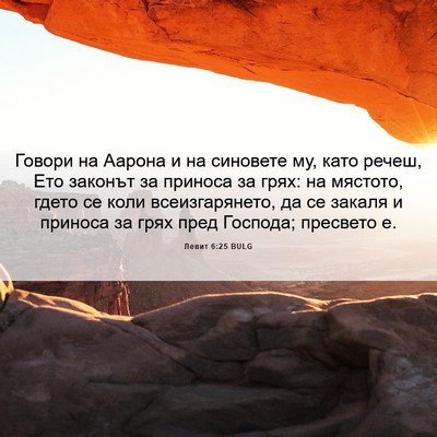 Picture 06 - Левит 6:25 BULG - Говори на Аарона и на - Bible Verse Picture