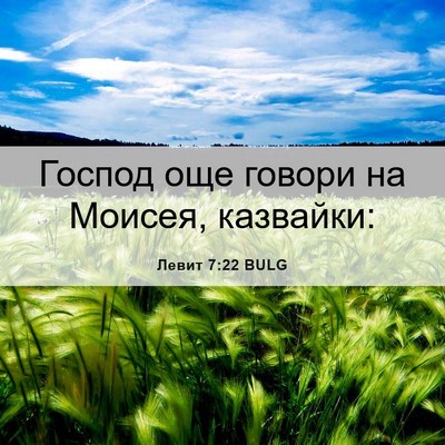 Picture 06 - Левит 7:22 BULG - Господ още говори на - Bible Verse Picture