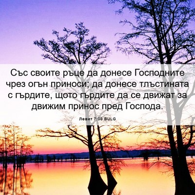 Picture 06 - Левит 7:30 BULG - Със своите ръце да донесе - Bible Verse Picture