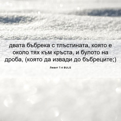 Picture 06 - Левит 7:4 BULG - двата бъбрека с - Bible Verse Picture