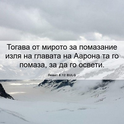 Picture 06 - Левит 8:12 BULG - Тогава от мирото за - Bible Verse Picture