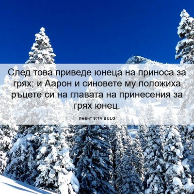 Picture 06 - Левит 8:14 BULG - След това приведе юнеца на - Bible Verse Picture