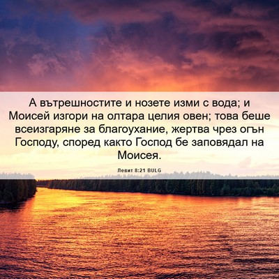 Picture 06 - Левит 8:21 BULG - А вътрешностите и нозете - Bible Verse Picture