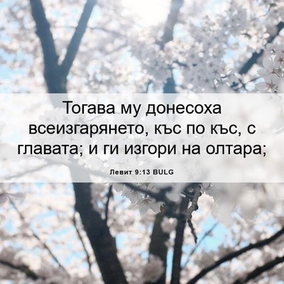 Picture 06 - Левит 9:13 BULG - Тогава му донесоха - Bible Verse Picture