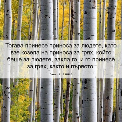 Picture 06 - Левит 9:15 BULG - Тогава принесе приноса за - Bible Verse Picture